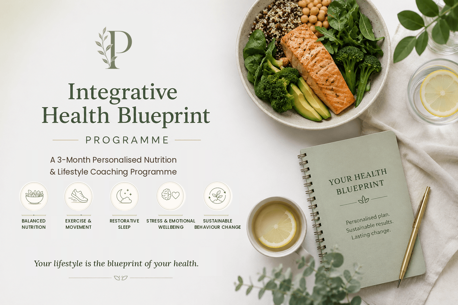 The Integrative Health Blueprint Programme